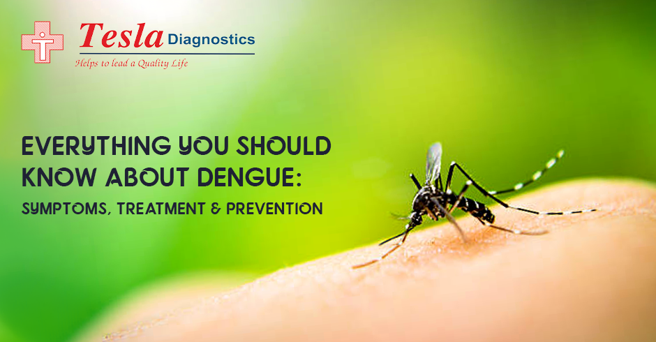 About Dengue: Symptoms, Treatment & Prevention